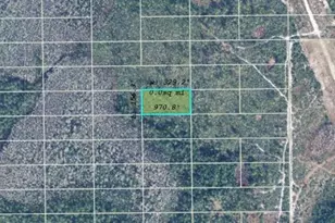 Dill Rd, Orlando, FL 32820 - Photo 1