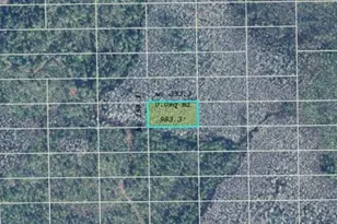 Dill Rd, Orlando, FL 32820 - Photo 1