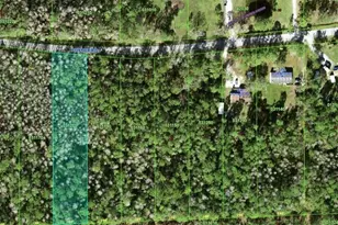 000 Poyner Rd, Polk City, FL 33868 - Photo 13