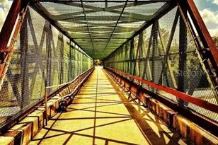 1970 Standing Rock Cir, Oakland, FL 34787 - Photo 35