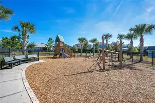 11879 Fiction Ave, Orlando, FL 32832 - Photo 31