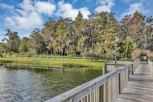 3259 River Branch Cir, Kissimmee, FL 34741 - Photo 41