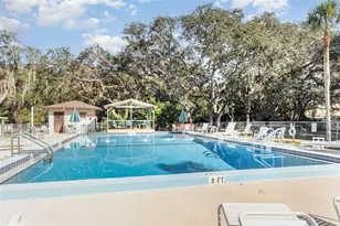 1729 Stacey Dr, Mount Dora, FL 32757 - Photo 33