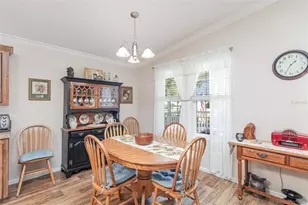 1729 Stacey Dr, Mount Dora, FL 32757 - Photo 13