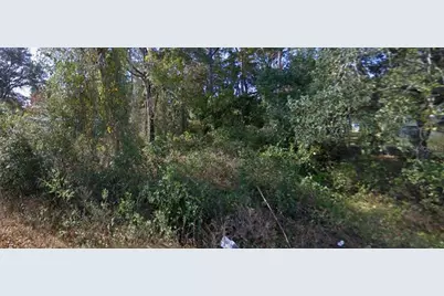 Se 173rd Court, Silver Springs, FL 34488 - Photo 1
