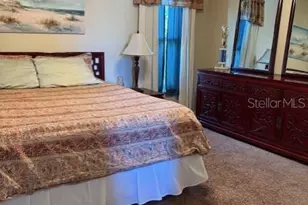 14206 Melouga Preserve Trail, Dover, FL 33527 - Photo 15