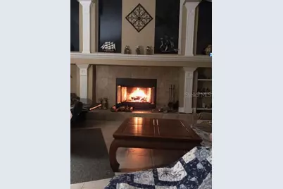 14206 Melouga Preserve Trail, Dover, FL 33527 - Photo 27