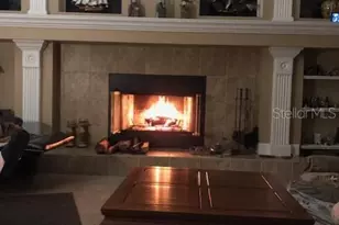 14206 Melouga Preserve Trail, Dover, FL 33527 - Photo 27