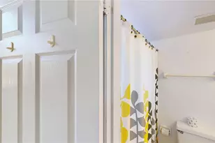 8708 Papaya Dr, Kissimmee, FL 34747 - Photo 33