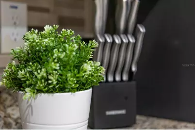 7625 Brookhurst Lane, Kissimmee, FL 34747 - Photo 69