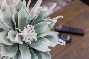 7625 Brookhurst Ln, Kissimmee, FL 34747 - Photo 71