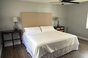 905 W 11th Ave, Mount Dora, FL 32757 - Photo 15