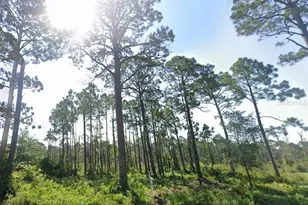 5262 State Road 30A, Port Saint Joe, FL 32456 - Photo 1