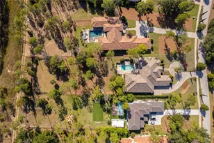 16828 Vinci Way, Bella Collina, FL 34756 - Photo 9