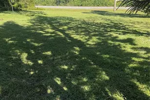 305 Ann St, Edgewater, FL 32132 - Photo 3