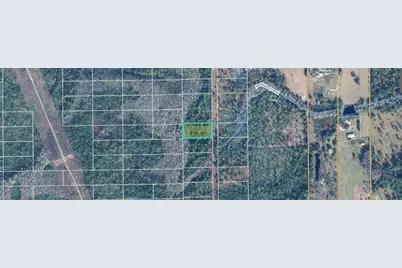 Christmas Road, Orlando, FL 32820 - Photo 1