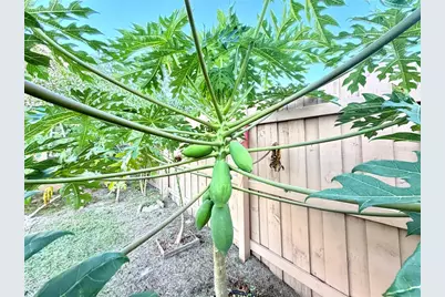 411 Parson Brown Way, Longwood, FL 32750 - Photo 31