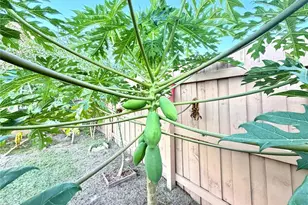 411 Parson Brown Way, Longwood, FL 32750 - Photo 31