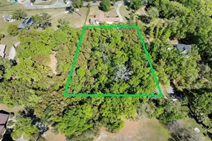 3407 Robinson St, Zellwood, FL 32798 - Photo 1