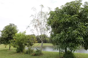 14505 Ward Rd, Orlando, FL 32824 - Photo 49