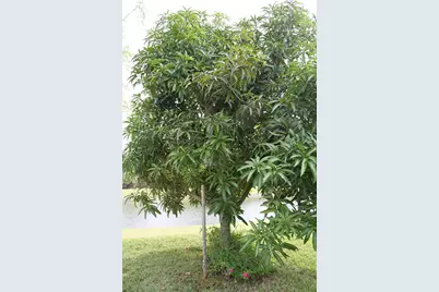 14505 Ward Road, Orlando, FL 32824 - Photo 53