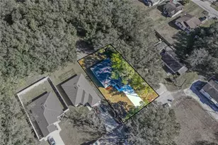 2728 Williston Dr, Lakeland, FL 33801 - Photo 3