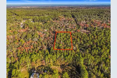 Sw 6th Terrace, Palatka, FL 32177 - Photo 3