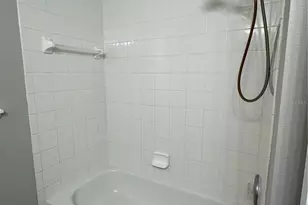 559 Hiawatha Palm Pl, Apopka, FL 32712 - Photo 67