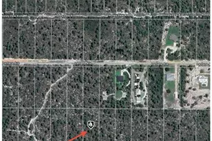 2132 Macintosh Ave, Sebring, FL 33875 - Photo 5