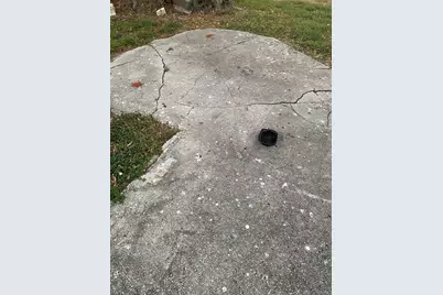 1516 Regan Avenue, Orlando, FL 32807 - Photo 3