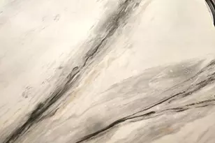 808 53rd Ave E, Bradenton, FL 34203 - Photo 7