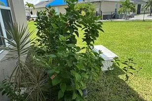 8171 Gopher Tortoises Trail, Lehigh Acres, FL 33972 - Photo 21