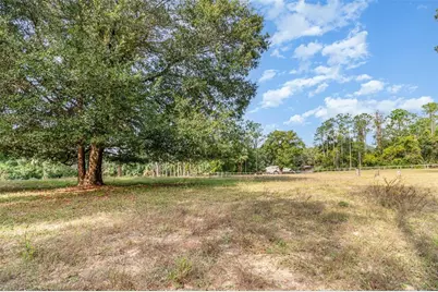 6160 Allen Street, Mount Dora, FL 32757 - Photo 21