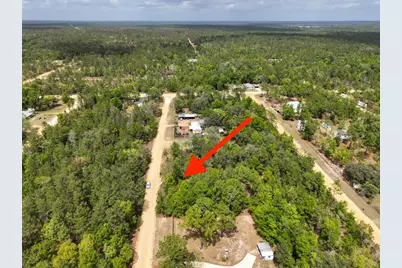 118 Patch Street, Interlachen, FL 32148 - Photo 9