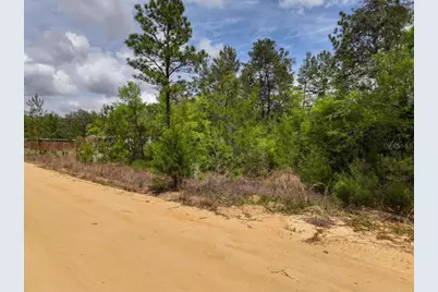 118 Patch Street, Interlachen, FL 32148 - Photo 11