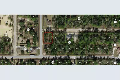 3154 W Bedford Lane, Dunnellon, FL 34433 - Photo 1