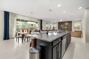 9035 Sunshine Ridge Loop, Kissimmee, FL 34747 - Photo 13