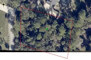 447 Warrior Trail, Deltona, FL 32725 - Photo 9