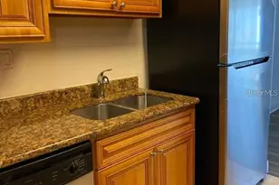 4745 S Texas Ave, Orlando, FL 32839 - Photo 5