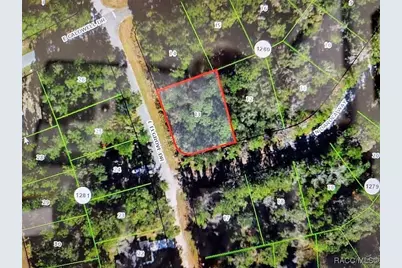 551 E Elgrove Drive, Citrus Springs, FL 34434 - Photo 1