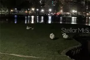 19 A N Thornton Ave W, Orlando, FL 32801 - Photo 11