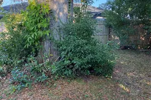 5047 Ferncrest Dr, Winter Park, FL 32792 - Photo 25