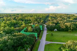 1514 Blackwillow St, Lake Placid, FL 33852 - Photo 7