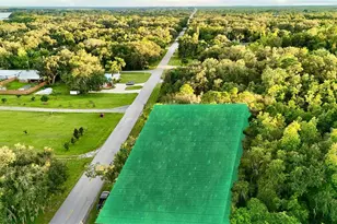 1514 Blackwillow St, Lake Placid, FL 33852 - Photo 3