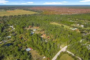 6100 Winning Wood Trl, De Leon Springs, FL 32130 - Photo 51