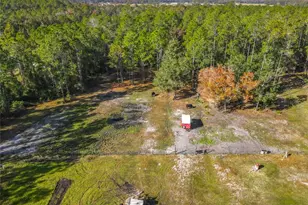 6100 Winning Wood Trl, De Leon Springs, FL 32130 - Photo 53