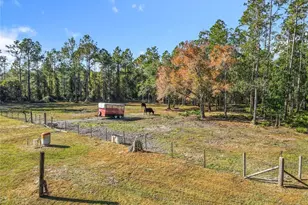 6100 Winning Wood Trl, De Leon Springs, FL 32130 - Photo 47