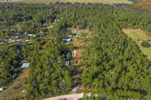 6100 Winning Wood Trl, De Leon Springs, FL 32130 - Photo 53