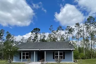 6100 Winning Wood Trl, De Leon Springs, FL 32130 - Photo 61