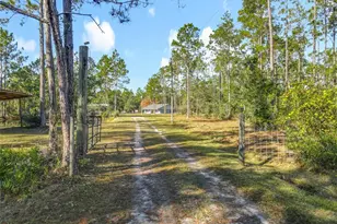 6100 Winning Wood Trl, De Leon Springs, FL 32130 - Photo 7
